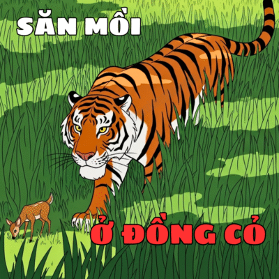 Một con hổ đang rình mồi, các sọc vằn của nó hòa lẫn hoàn hảo với bóng của thảm cỏ cao xung quanh.