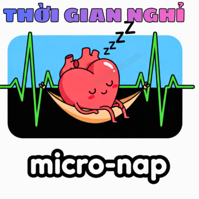 Minh họa trái tim đang ngủ trưa ngắn giữa các nhịp đập trên biểu đồ điện tâm đồ.